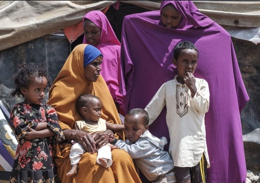 WhatsApp Image 2025-06-14 à 13.34.34_00cba25b